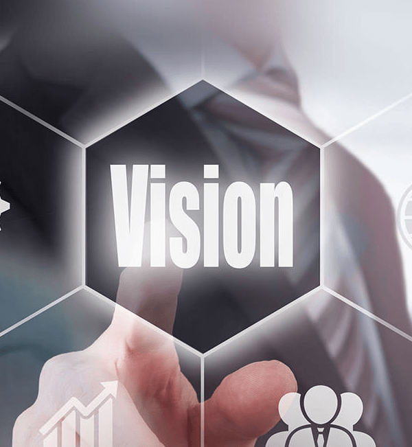 vision